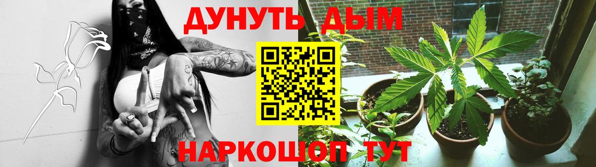 Шишки марихуана ГИДРОПОН  Бошки Шишки марихуана  Вход с VPN  Майский  Шишки марихуана Ganja 